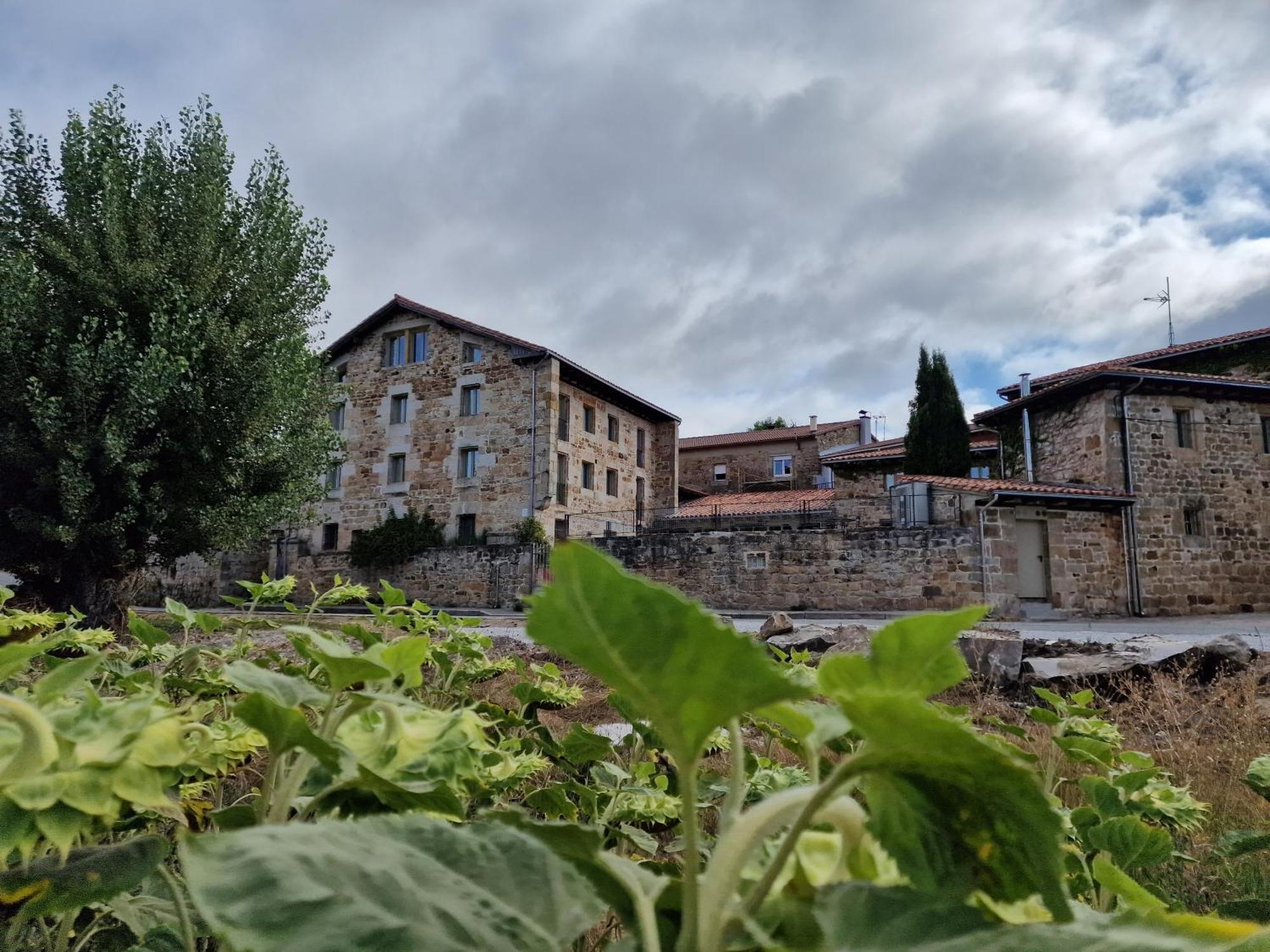 Maison Baron De La Galleta B&B Quintanilla las Torres Exteriör bild